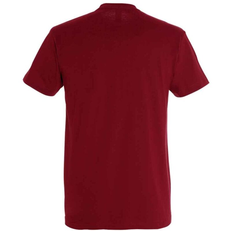 SOL'S Imperial Heavy T-Shirt