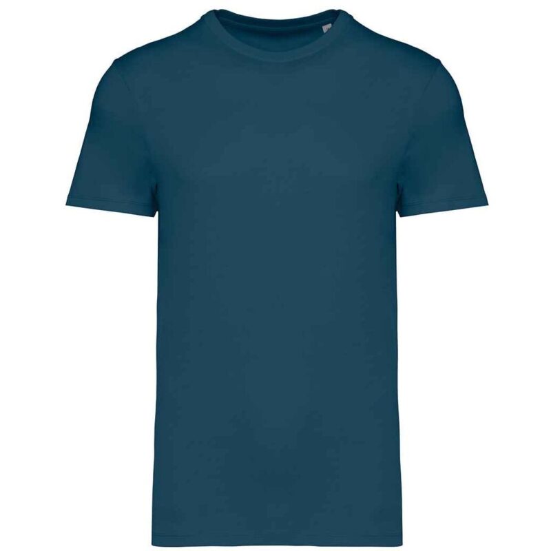 Native Spirit Unisex Heavyweight T-Shirt