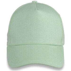 Result Organic Cotton 5 Panel Cap