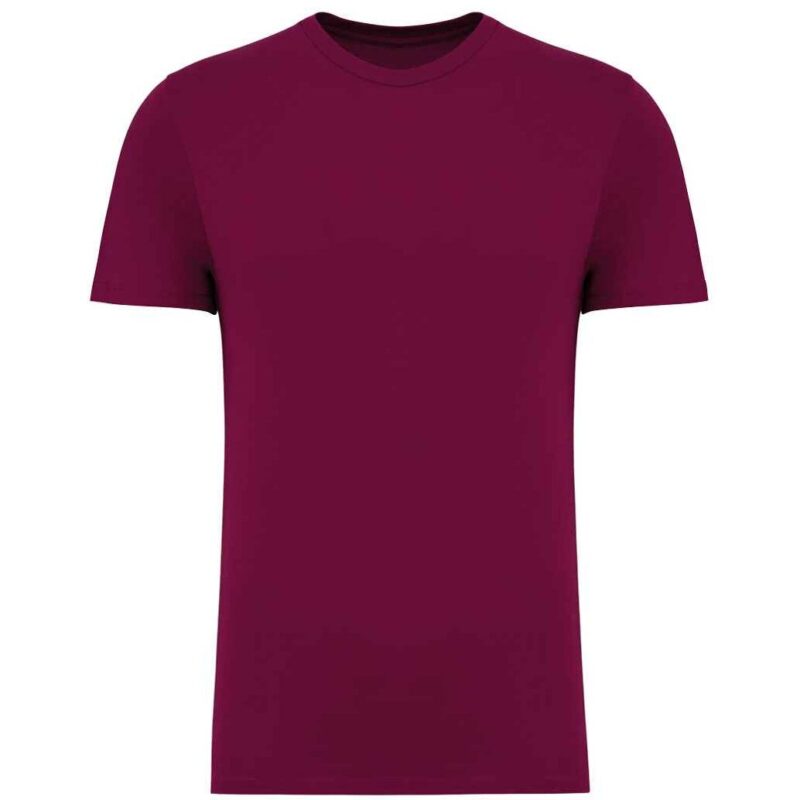 Native Spirit Unisex T-Shirt