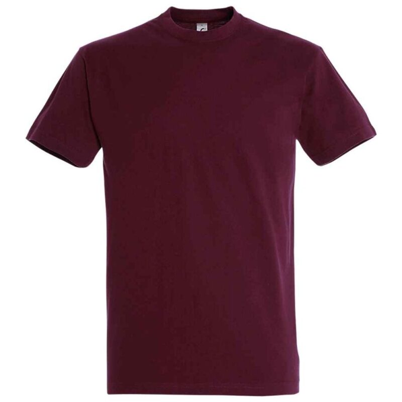 SOL'S Imperial Heavy T-Shirt