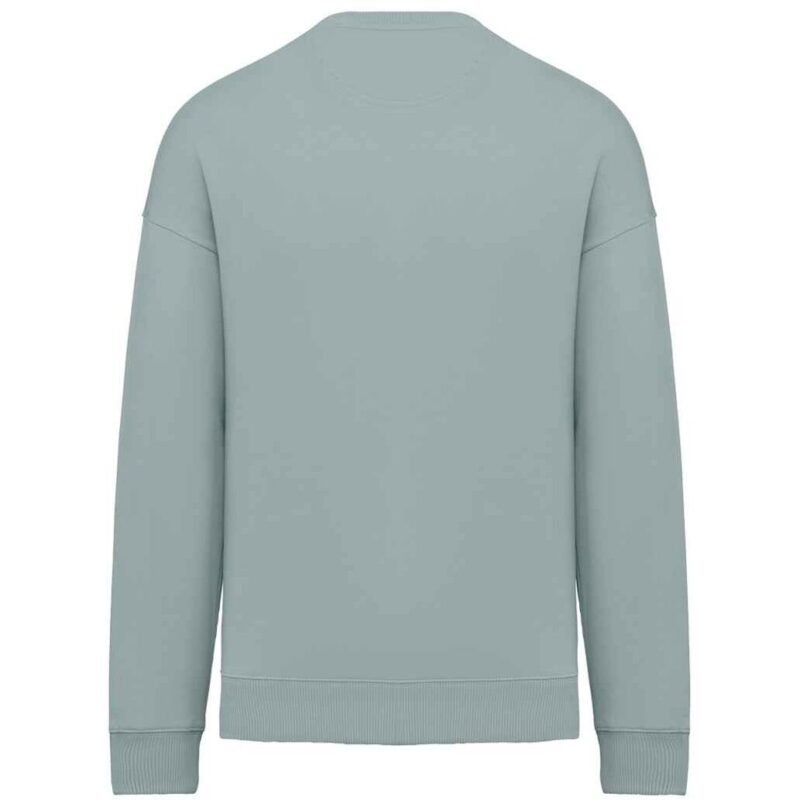 Native Spirit Unisex Oversized Sweatshirt