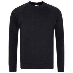 AWDis Academy Senior Raglan Sweatshirt