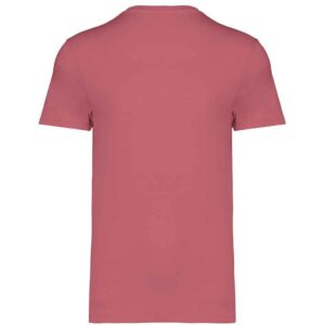 Native Spirit Unisex Heavyweight T-Shirt
