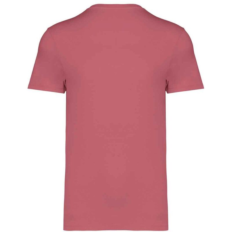 Native Spirit Unisex Heavyweight T-Shirt
