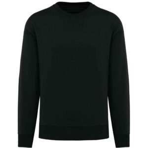 Native Spirit Unisex Oversized Sweatshirt