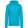 Light Turquoise