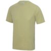 Desert Sand