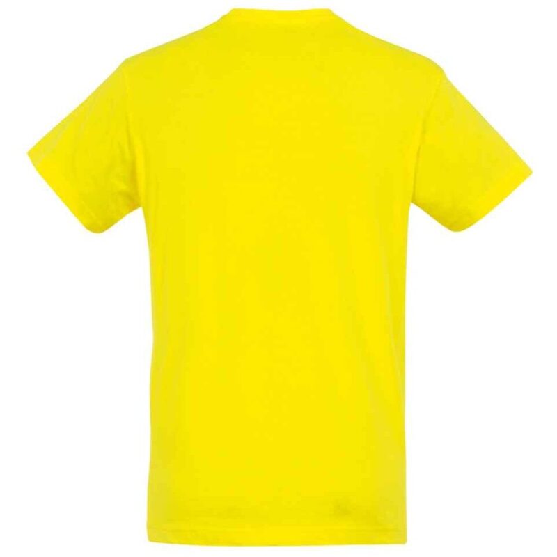 SOL'S Regent T-Shirt