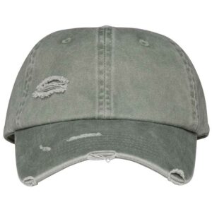 Native Spirit Washed Destroy Cap