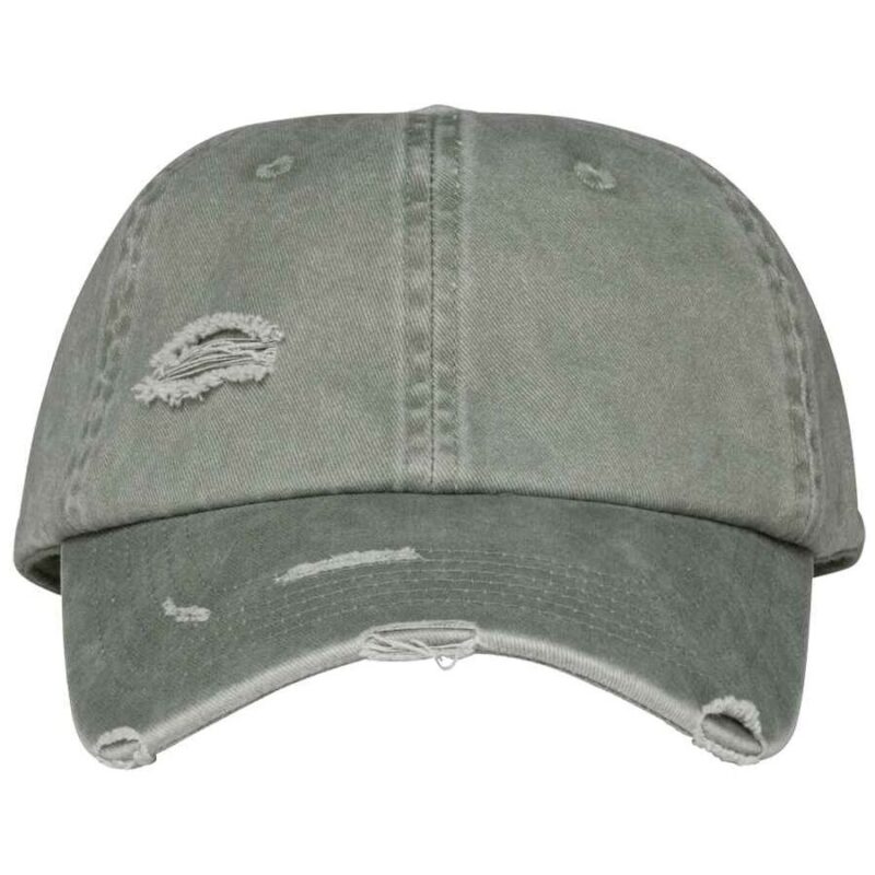 Native Spirit Washed Destroy Cap