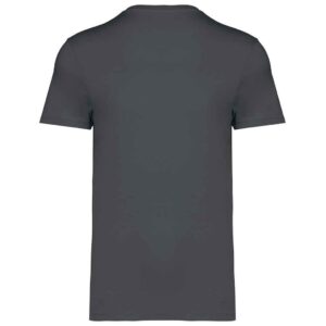Native Spirit Unisex Heavyweight T-Shirt