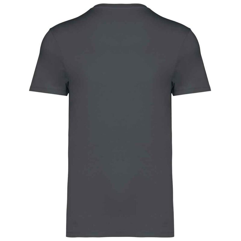 Native Spirit Unisex Heavyweight T-Shirt
