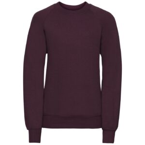 Russell Athletic Kids Raglan Sweatshirt