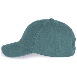 Native Spirit Faded Cap