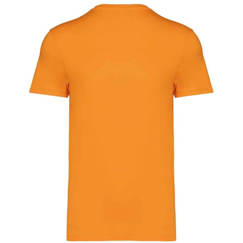 Native Spirit Unisex Heavyweight T-Shirt