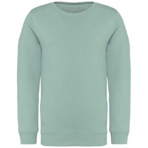Native Spirit Kids Crew Neck Sweatshirt