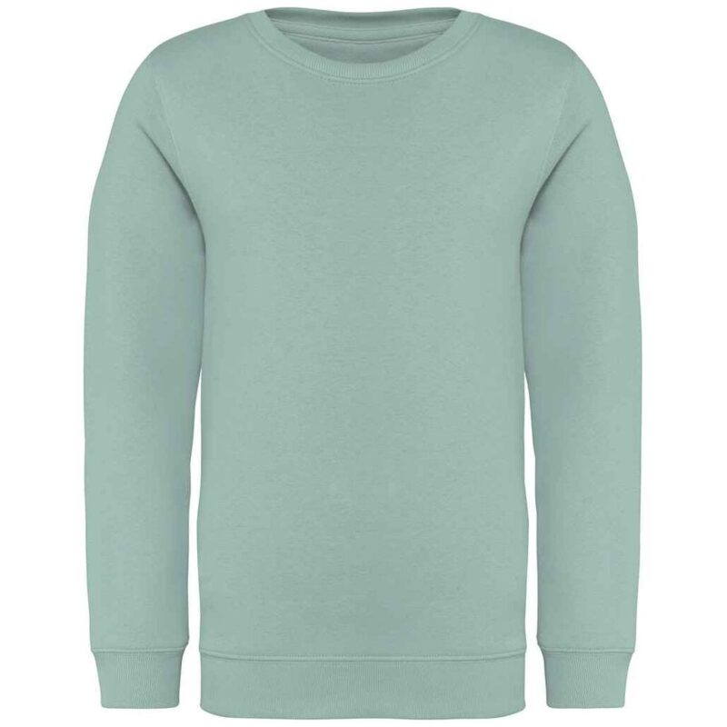Native Spirit Kids Crew Neck Sweatshirt