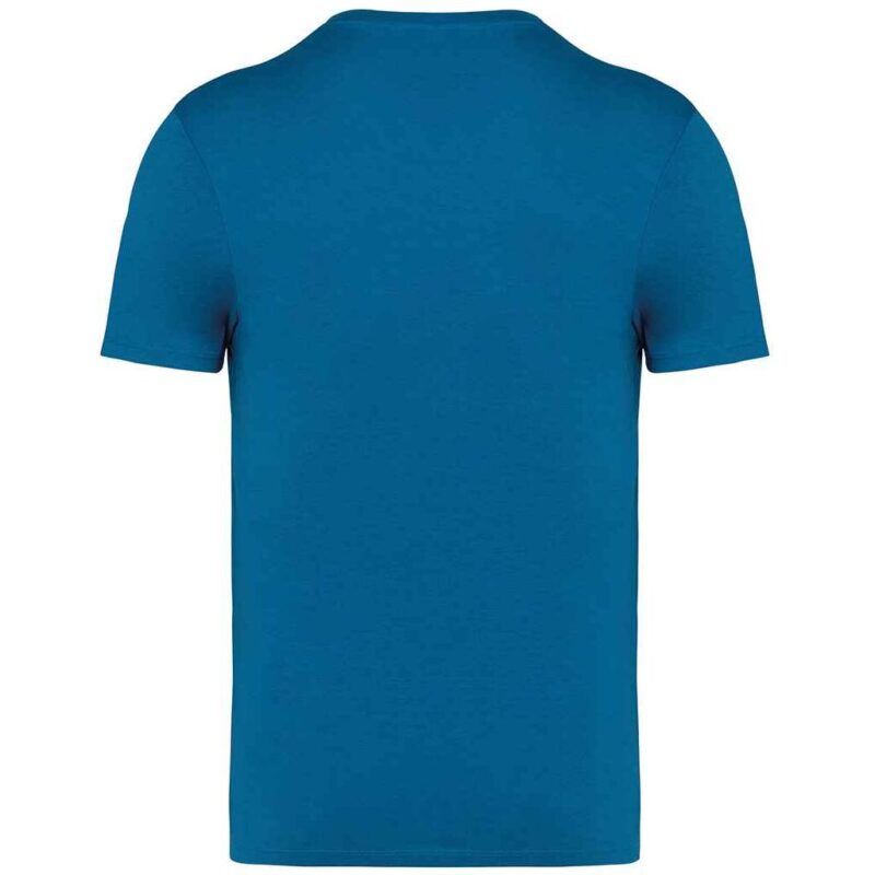 Native Spirit Unisex Heavyweight T-Shirt
