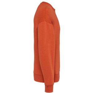 Native Spirit Unisex Oversized Sweatshirt