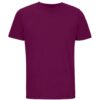 Astral Purple