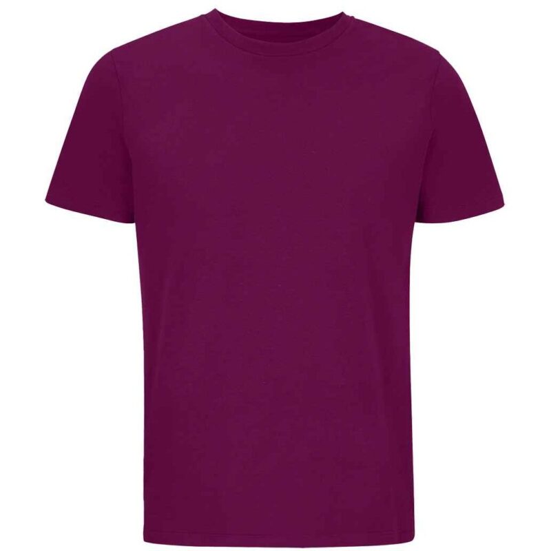 SOL'S Unisex Legend Organic T-Shirt