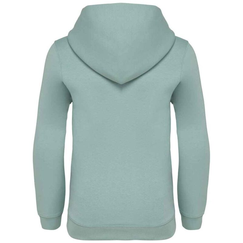 Native Spirit Kids Hooded Sweatshirt