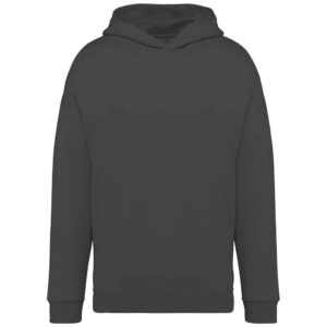 Native Spirit Unisex Oversized Hoodie
