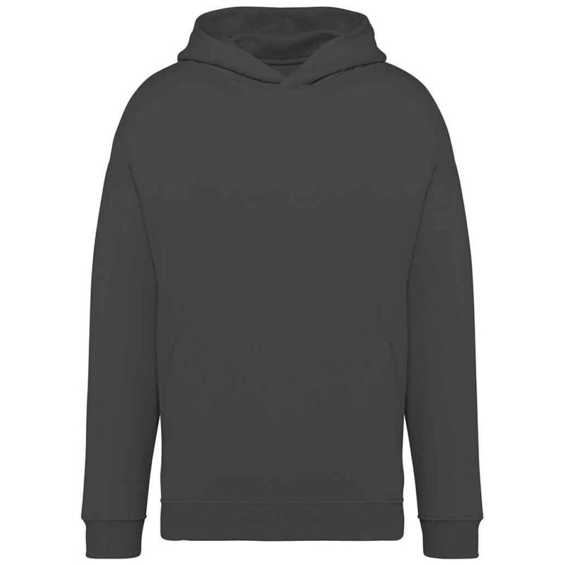 Native Spirit Unisex Oversized Hoodie