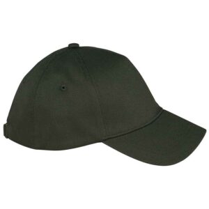 Native Spirit 5 Panel Cap