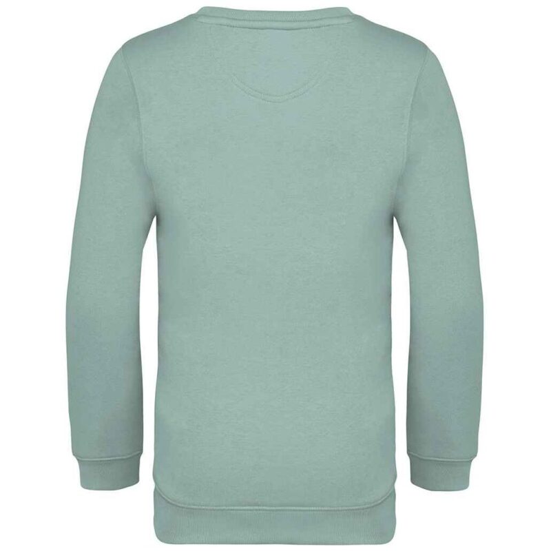 Native Spirit Kids Crew Neck Sweatshirt