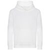 Arctic White
