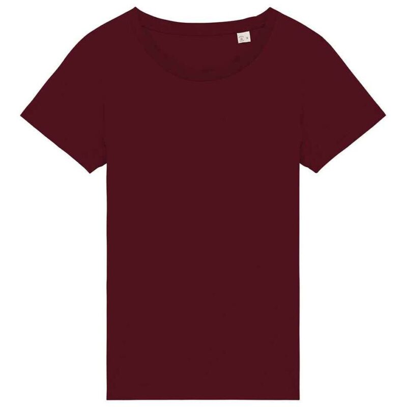 Native Spirit Ladies T-Shirt