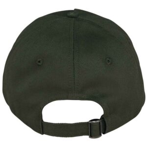 Native Spirit 5 Panel Cap