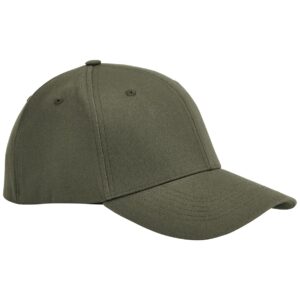 Beechfield EarthAware Organic Cotton Stretch-Fit Cap