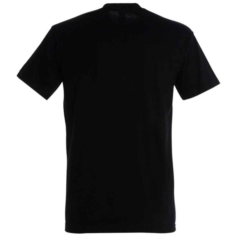 SOL'S Imperial Heavy T-Shirt