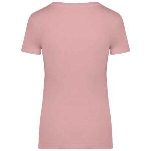 Native Spirit Ladies T-Shirt