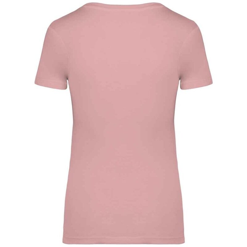 Native Spirit Ladies T-Shirt