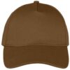 Dark Camel
