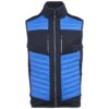 Strong Blue/Navy