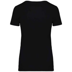 Native Spirit Ladies T-Shirt