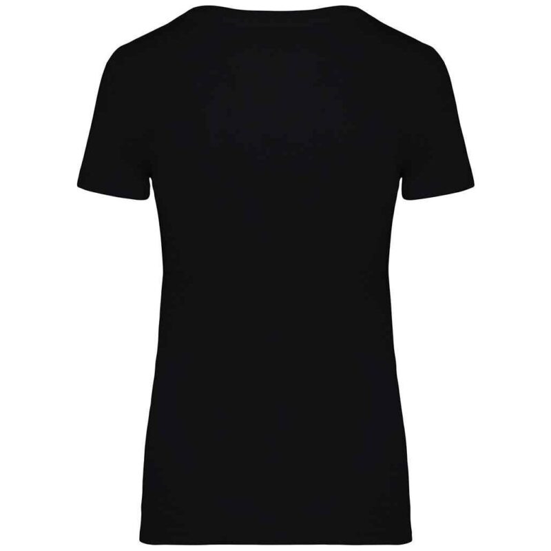Native Spirit Ladies T-Shirt