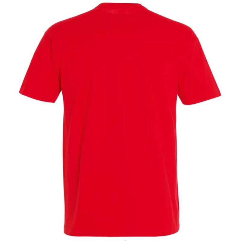 SOL'S Imperial Heavy T-Shirt