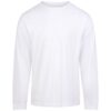 Arctic White