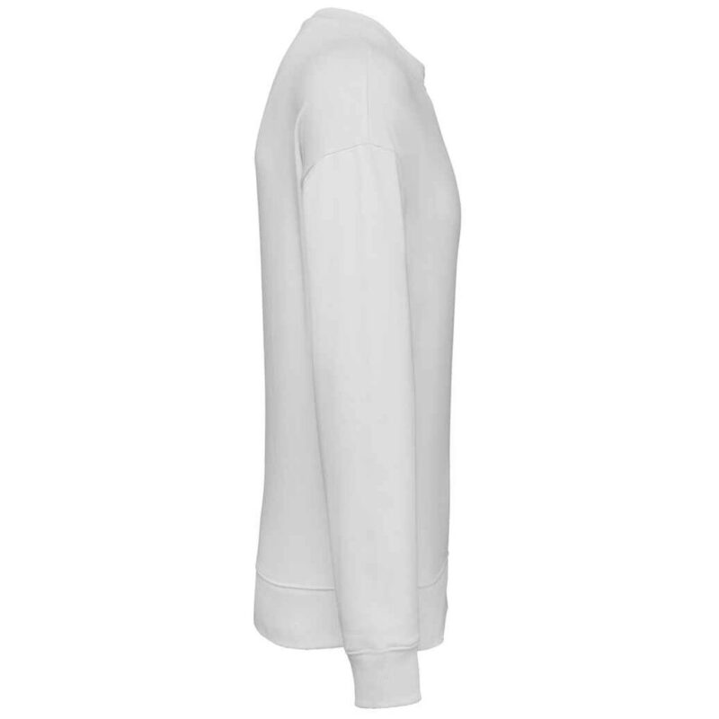 Native Spirit Unisex Oversized Sweatshirt