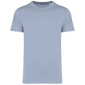 Native Spirit Unisex Heavyweight T-Shirt