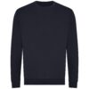 New French Navy