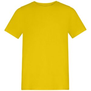 AWDis Kids 150 T-Shirt