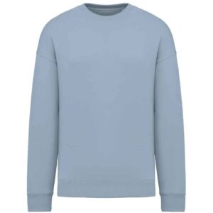 Native Spirit Unisex Oversized Sweatshirt