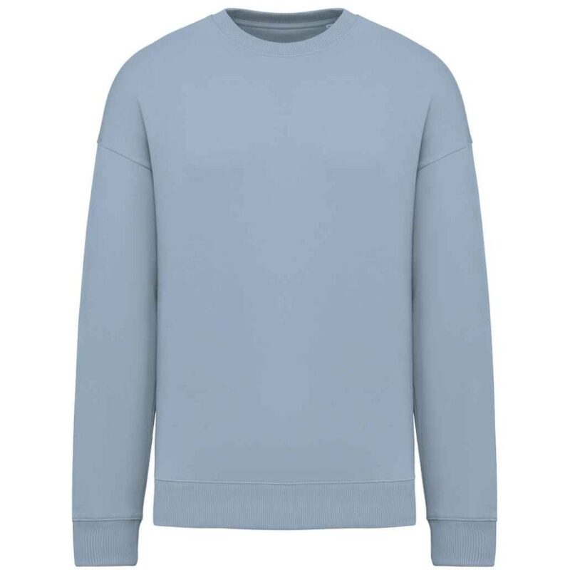 Native Spirit Unisex Oversized Sweatshirt